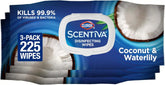 Clorox Scentiva Disinfecting Wipes, Coconut and Waterlily, 75 Count, Pack of 3 (Package May Vary)